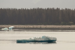 315-9075 Iceberg
